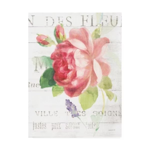 Danhui Nai 'Maison Des Fleurs Viii' Canvas Art, 35x47, Trademark Fine Art, Mfr#: WAP10176-C3547GG